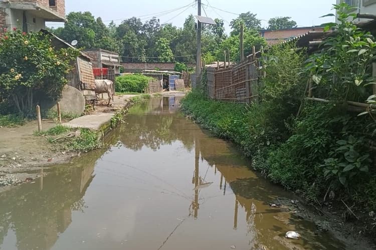 भरगामा के पासवान टोला में सड़क बनी तालाब, हाथ में जूता-चप्पल लेकर स्कूल जाने को मजबूर बच्चे