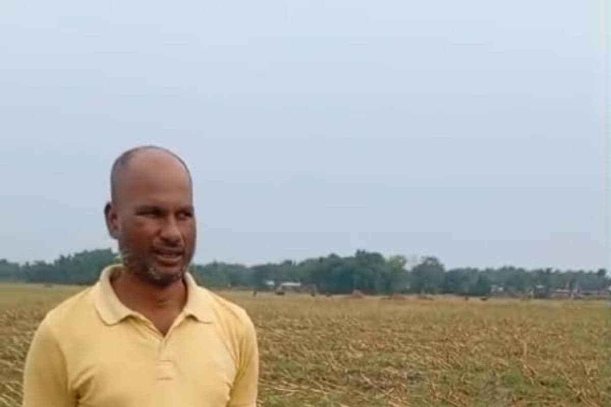 रानीगंज में बिजली गिरने से गाय की मौत, झुलसे पशुपालक