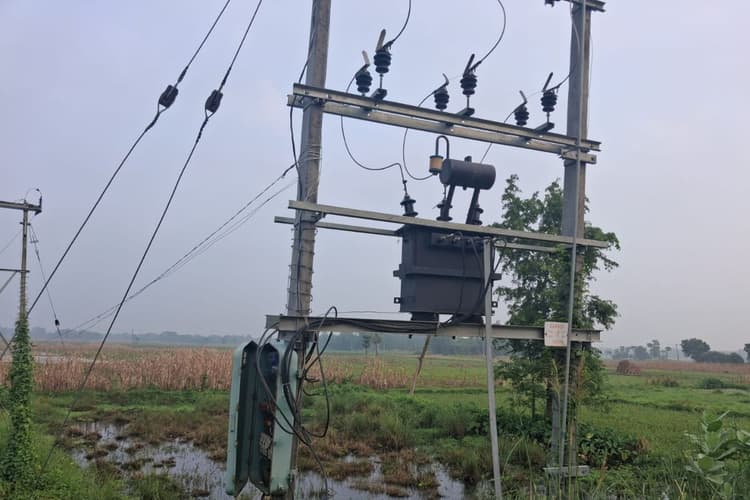 डंडखोरा में बांस के सहारे खेतों तक पहुंची हाईवोल्टेज बिजली