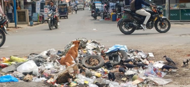 मुंगेर में सफाई व्यवस्था बदहाल, सड़कों पर पसरा कूड़ा बना लोगों की परेशानी का कारण