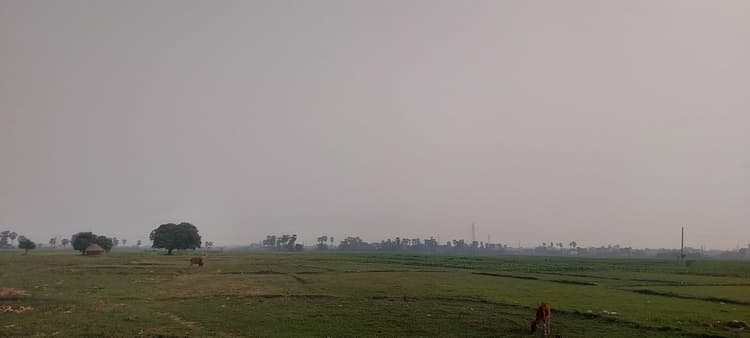 लखीसराय में आंधी-तूफान और वज्रपात का अलर्ट, मौसम विभाग ने जारी की चेतावनी