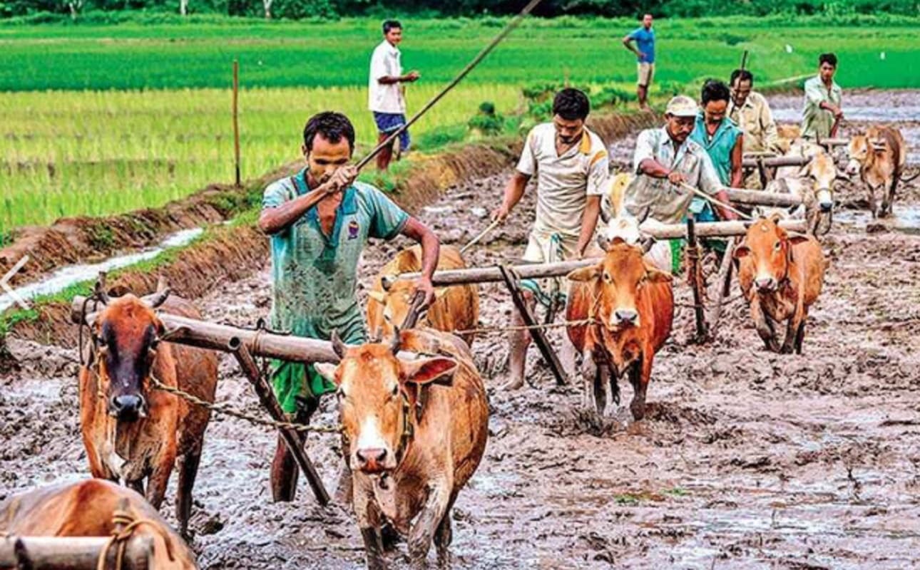 बंगाल बजट : किसानों के लिए 'डबल धमाका', मिलेगी कुल इतनी धनराशि