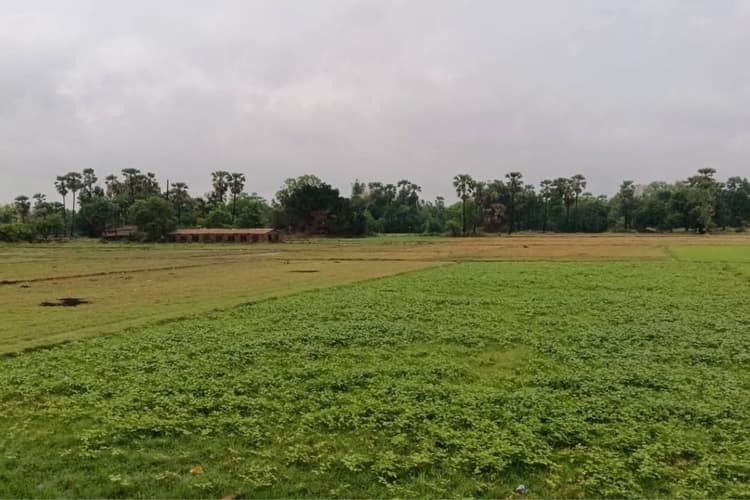 गोड्डा में खरीफ सीजन की तैयारी तेज, खेतों में बढ़ी हलचल