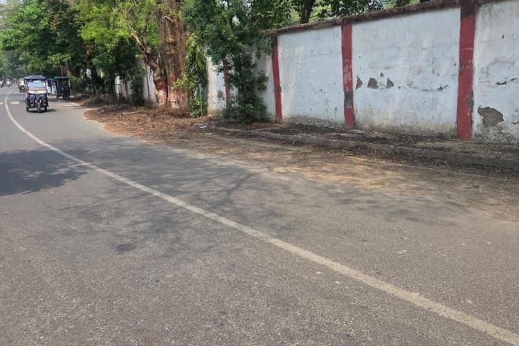 प्रभात खबर में प्रकाशित खबर के बाद जागा वन विभाग, सड़क पर गिरे पेड़ की टहनियां को हटवाया