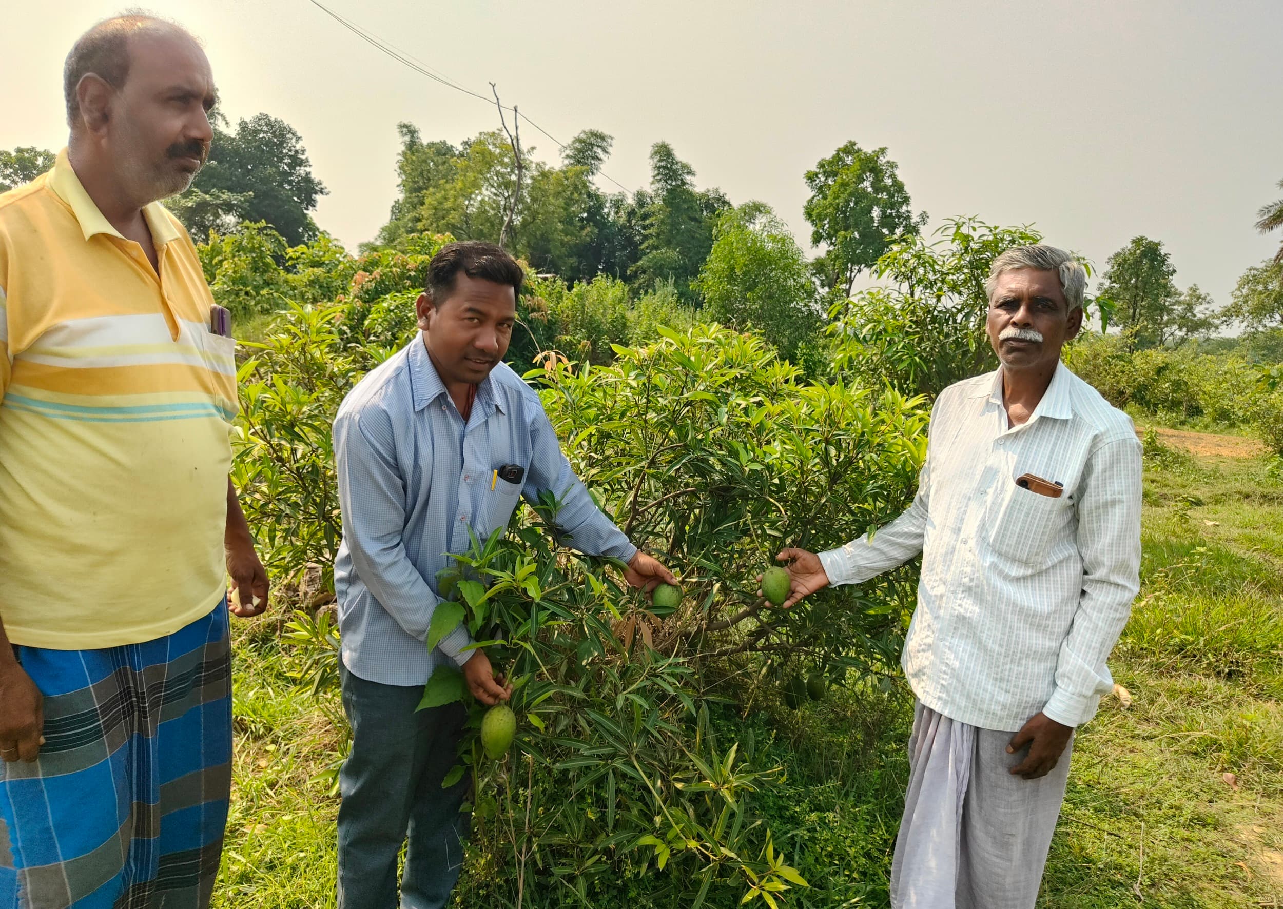 Bokaro News : सेवानिवृत्त शिक्षक ने रचा हरियाली का संसार