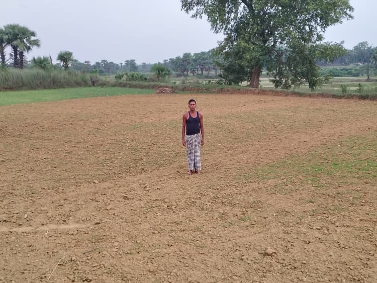 खेतों में नमी कम रहने के बावजूद डाला धान का बीज, पर हुआ अंकुरित
