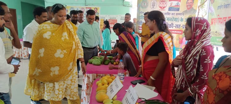 6000 एकड़ में आम की बागवानी से किसानों को हो रहा लाभ : डीपीएम