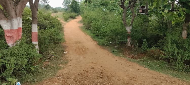 झुंडी में वन अधिकार के तहत सड़क निर्माण की मांग