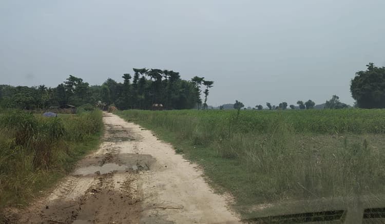 कीचड़ युक्त सड़क से गुजरने को मजबूर हैं ग्रामीण