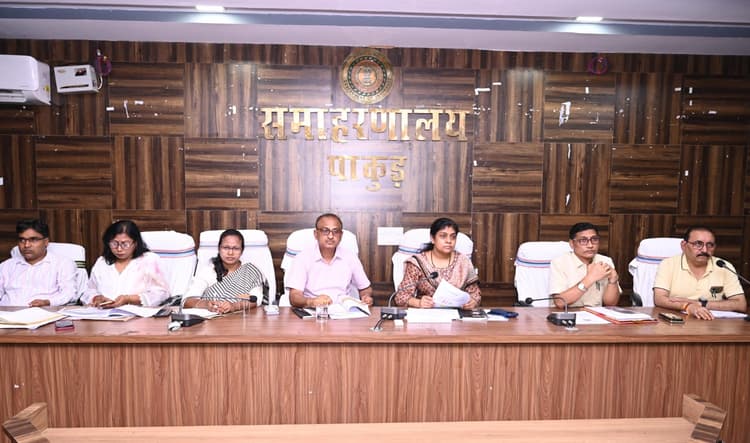 संस्थागत प्रसव और टीकाकरण पर दें जोर: डीसी