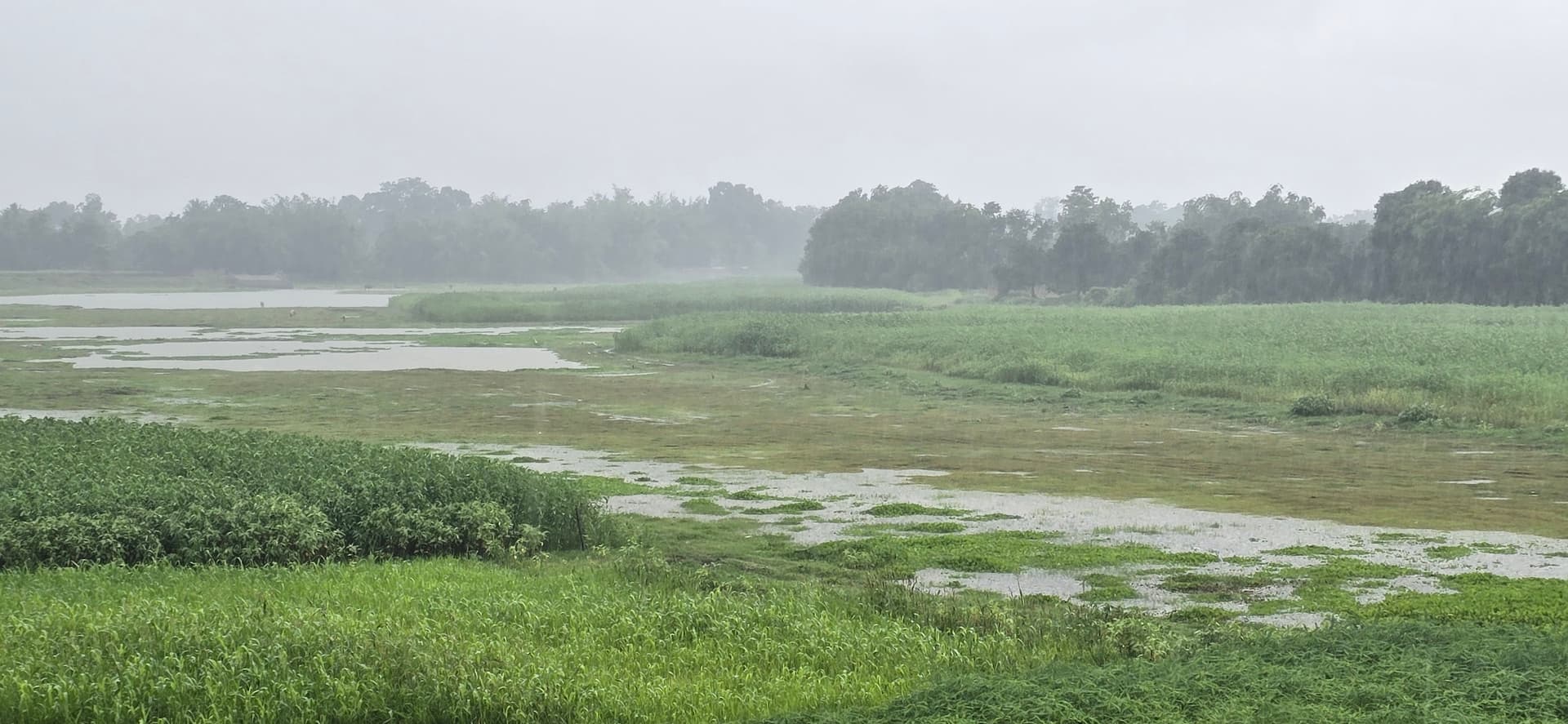 अचानक तेज हवा के साथ हुई बारिश, मौसम पूरे दिन बना रहा सुहाना