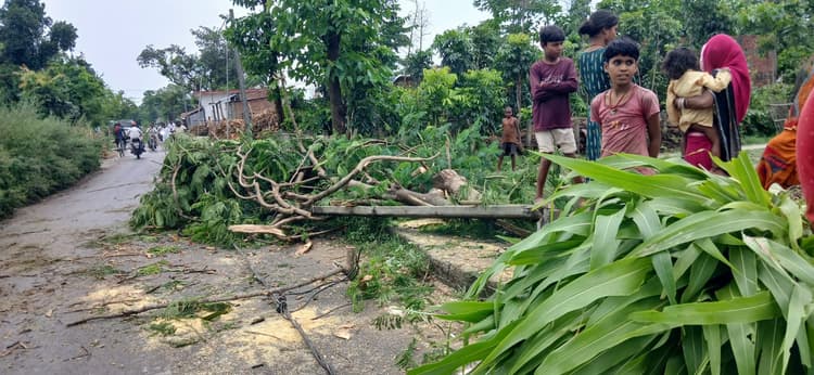 आंधी व बारिश से आम जनजीवन प्रभावित, बिजली आपूर्ति ठप