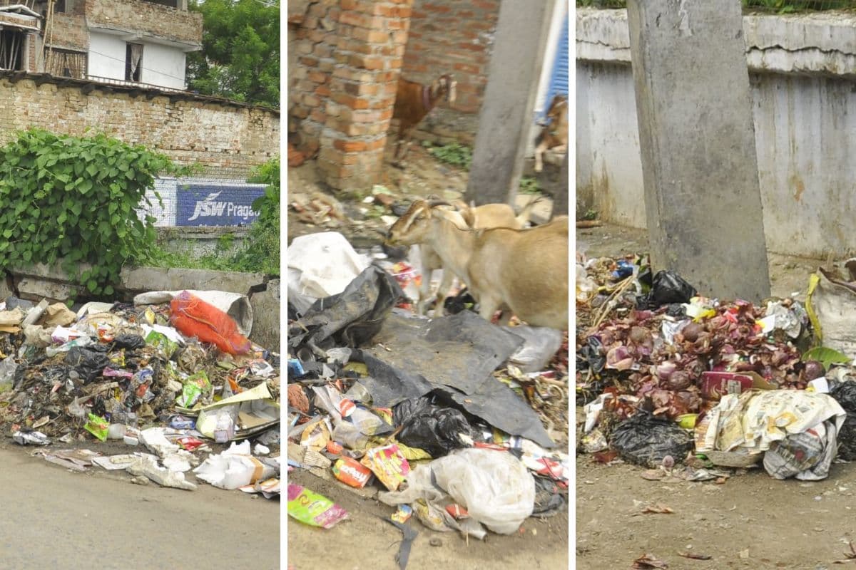 भागलपुर के हबीबपुर में लाखों के डस्टबिन गायब, सड़कों पर फेंका जा रहा कचरा