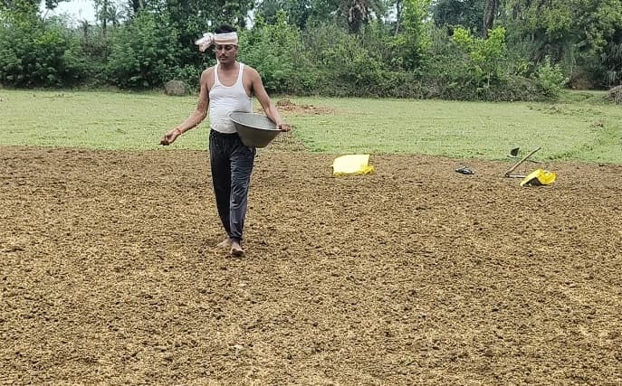 Bokaro News : लगातार बारिश से किसानों में उत्साह, धान बीज की बुआई शुरू