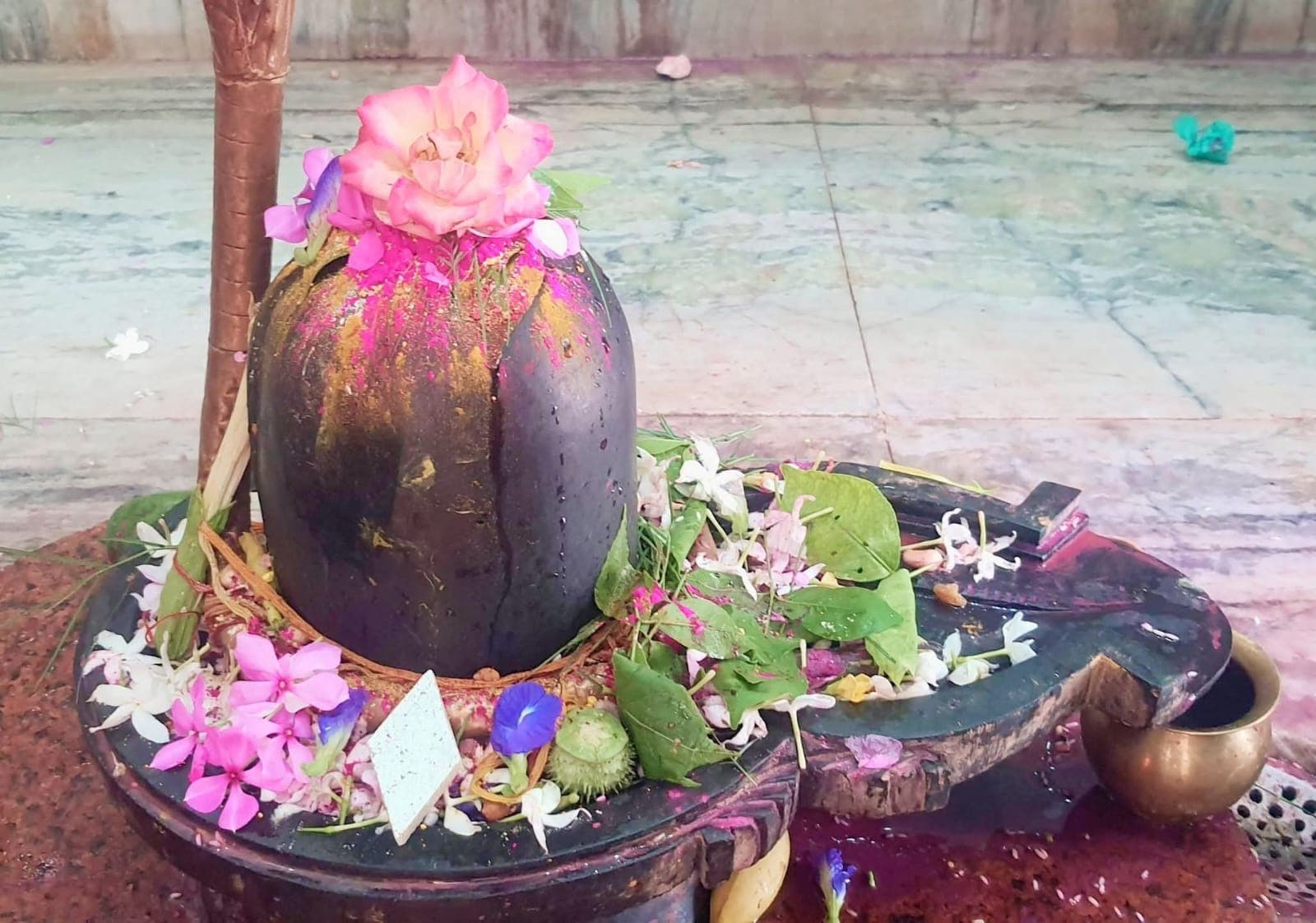 मासिक शिवरात्रि पर ओम नम: शिवाय के जयघोष से गूंजे शिवालय