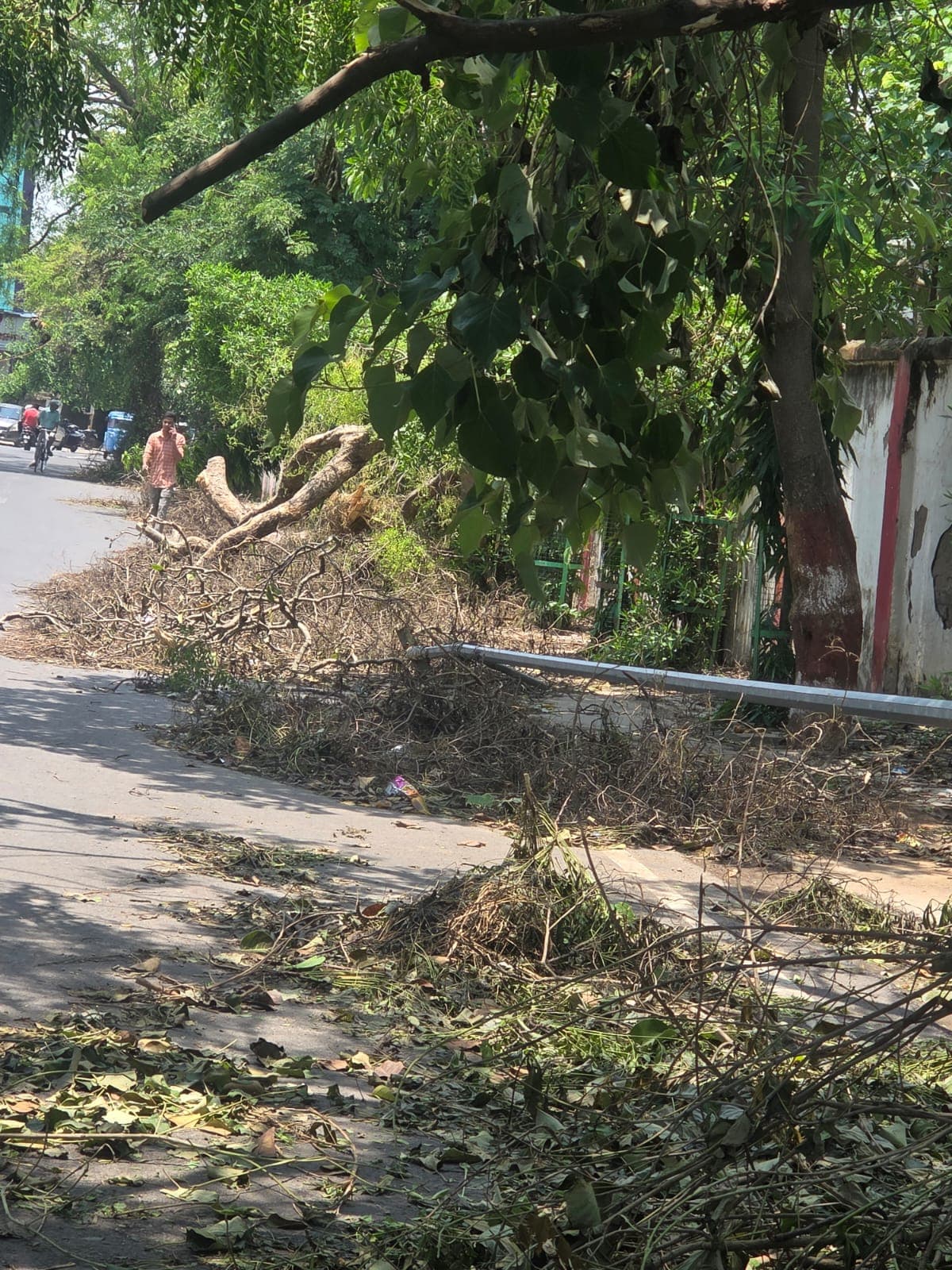 तूफान में गिर का टूटे सोलर लाइट का हुआ आकलन, 1780 में 70 सोलर लाइट पूरी तरह हुए क्षतिग्रस्त