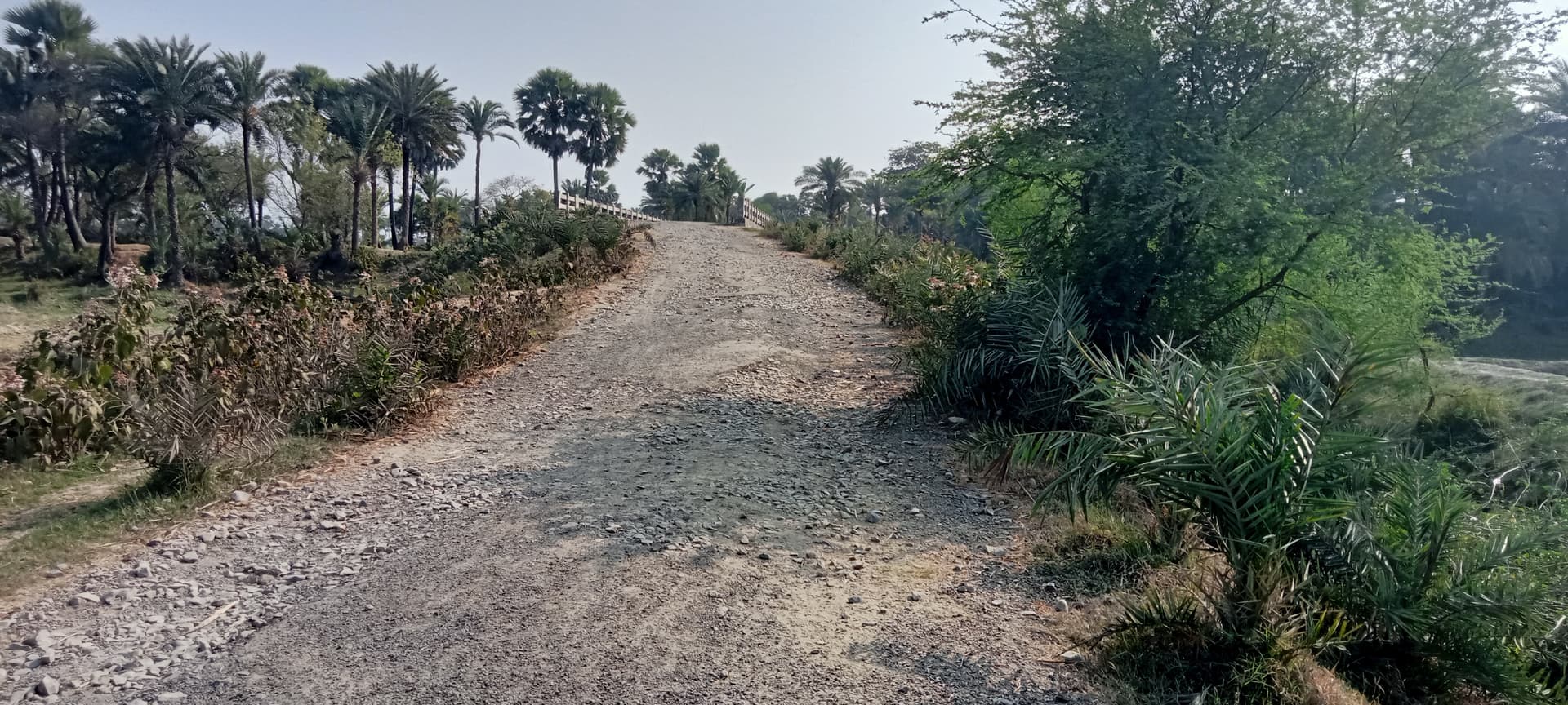 इंदरचक-रंगेला सड़क बदहाल, गड्ढों और उभरे मेटल से सफर जोखिमभरा