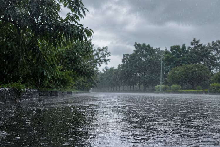 झारखंड में 21 जून को बारिश के आसार, 26 तक आंधी-वज्रपात का अलर्ट