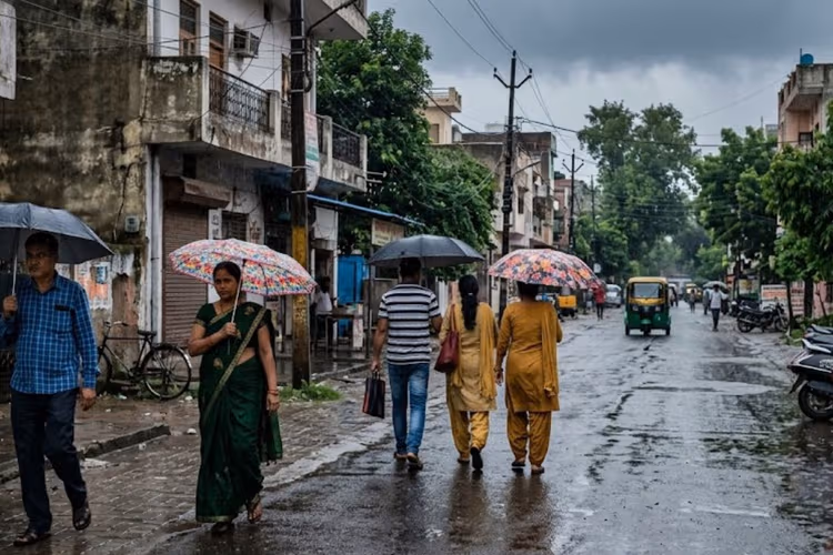 Bettiah Weather Alert: पश्चिम चंपारण में वज्रपात और भारी वर्षा की चेतावनी