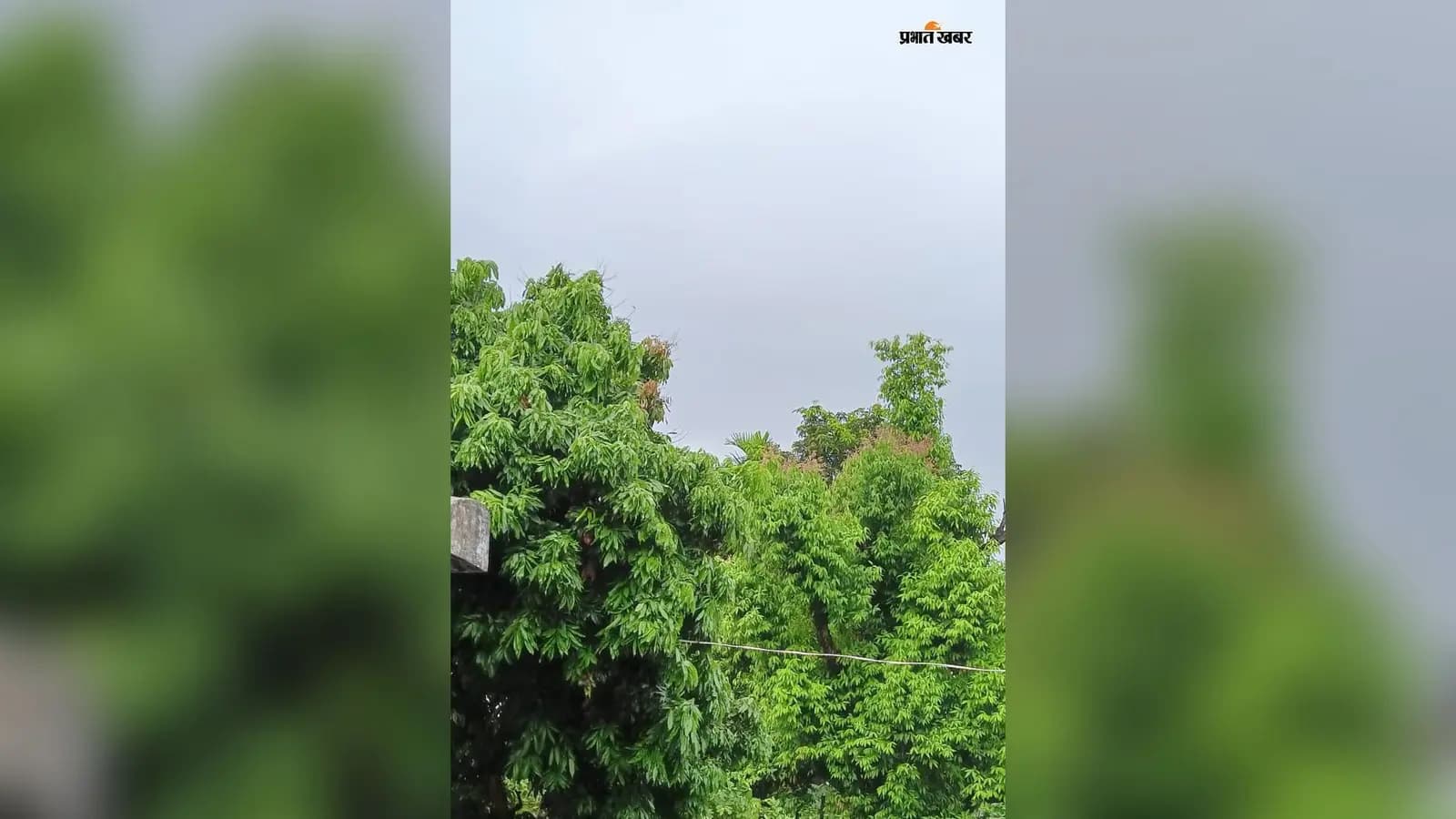 बारिश के बाद सुहाना मौसम बारिश के बाद सुहाना मौसम