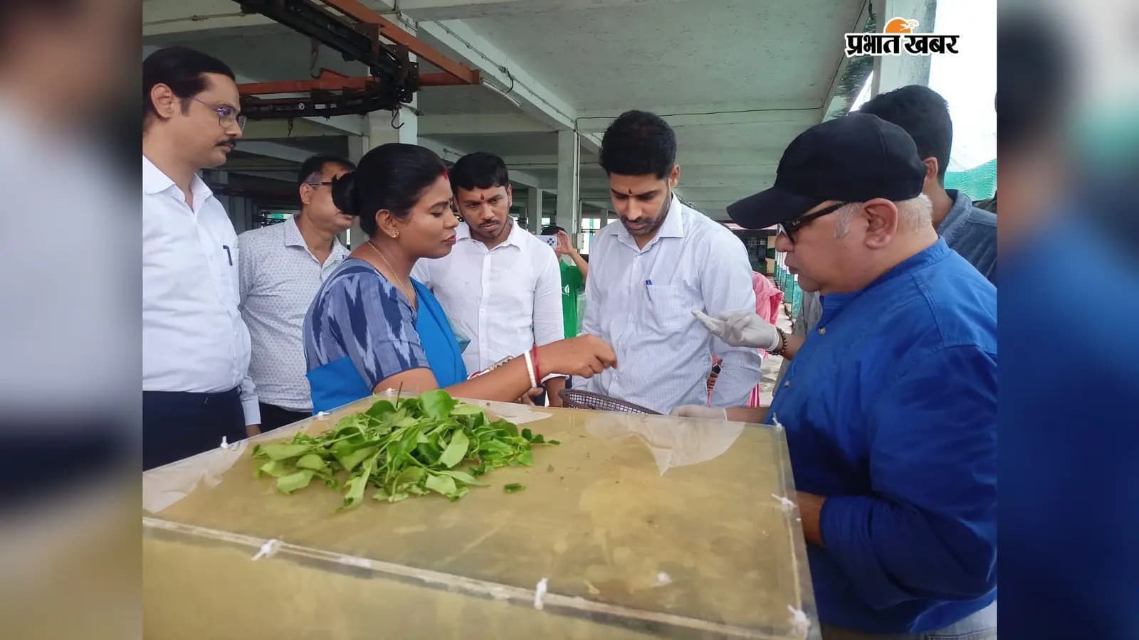 पोठिया स्थित महानंदा लीफ चायपत्ती उत्पादन एवं पैकेजिंग इकाई का निरीक्षण करते जिलाधिकारी विशाल राज. पोठिया स्थित महानंदा लीफ चायपत्ती उत्पादन एवं पैकेजिंग इकाई का निरीक्षण करते जिलाधिकारी विशाल राज.