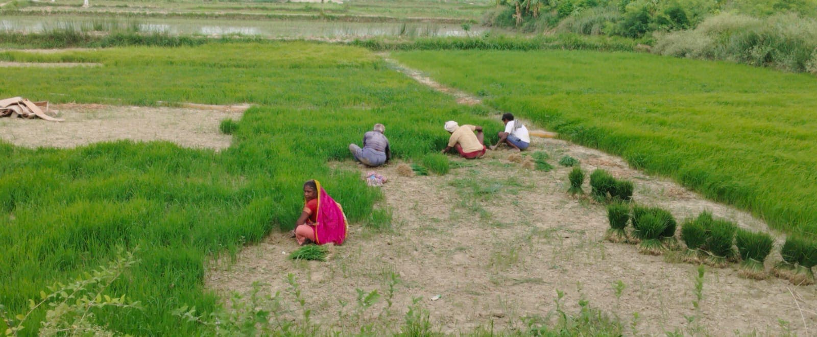 आसमान में बादल, खेतों में इंतजार, बारिश की राह देख रहे अन्नदाता किसान आसमान में बादल, खेतों में इंतजार, बारिश की राह देख रहे अन्नदाता किसान