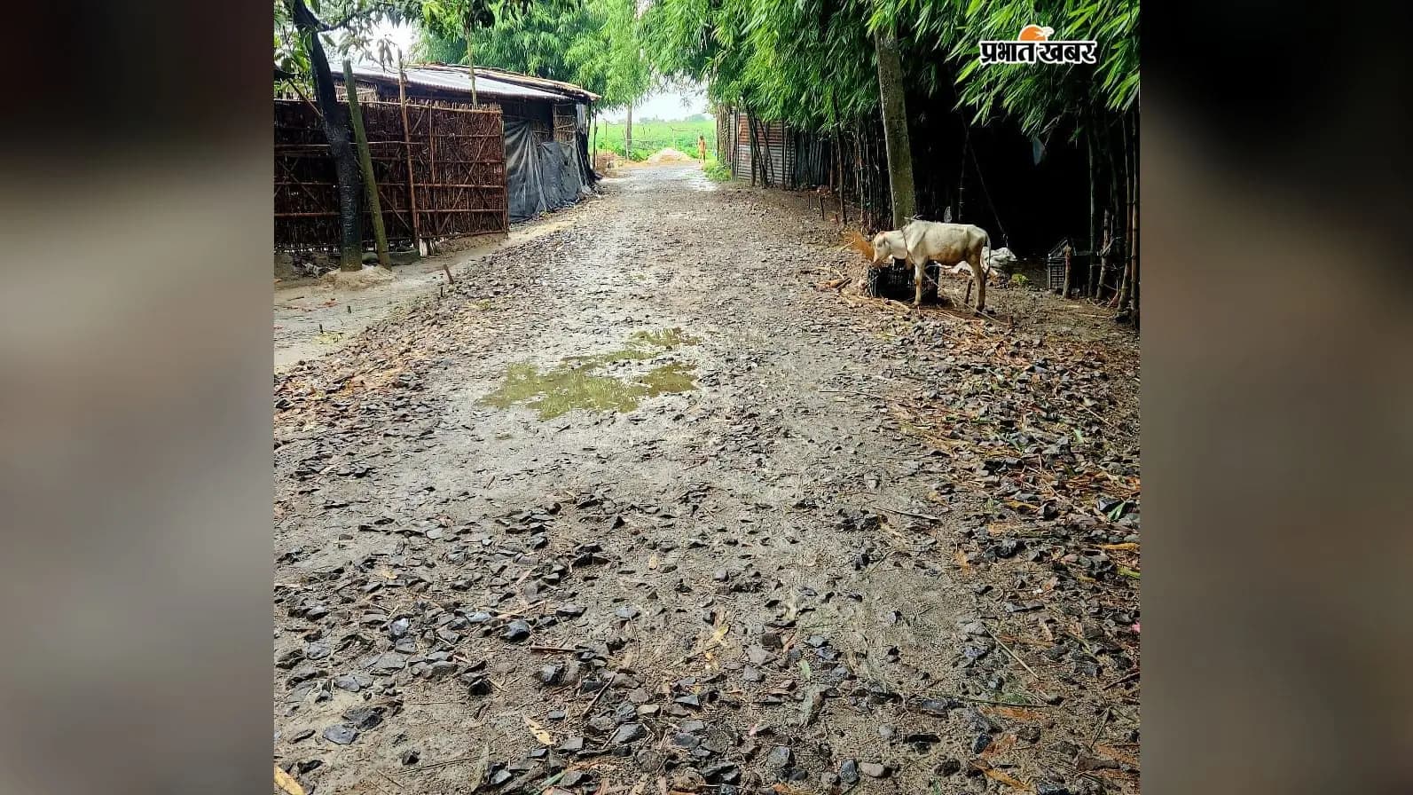 अधूरा पड़ा पौआखाली–सीमलबाड़ी सड़क निर्माण कार्य अधूरा पड़ा पौआखाली–सीमलबाड़ी सड़क निर्माण कार्य