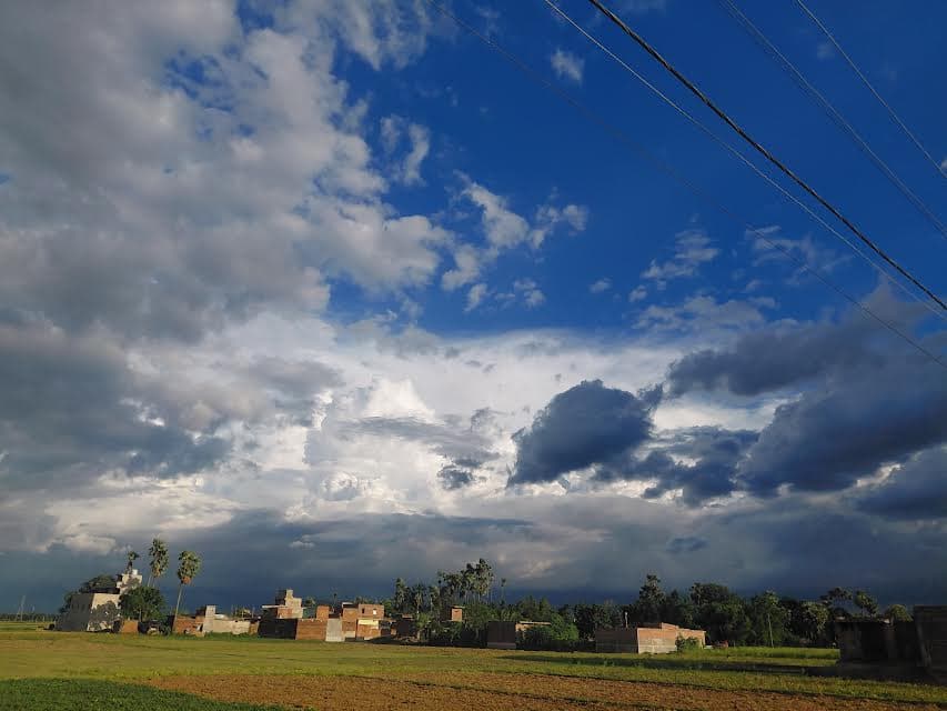 मानसून की बारिश से किसानों को मिली राहत मानसून की बारिश से किसानों को मिली राहत