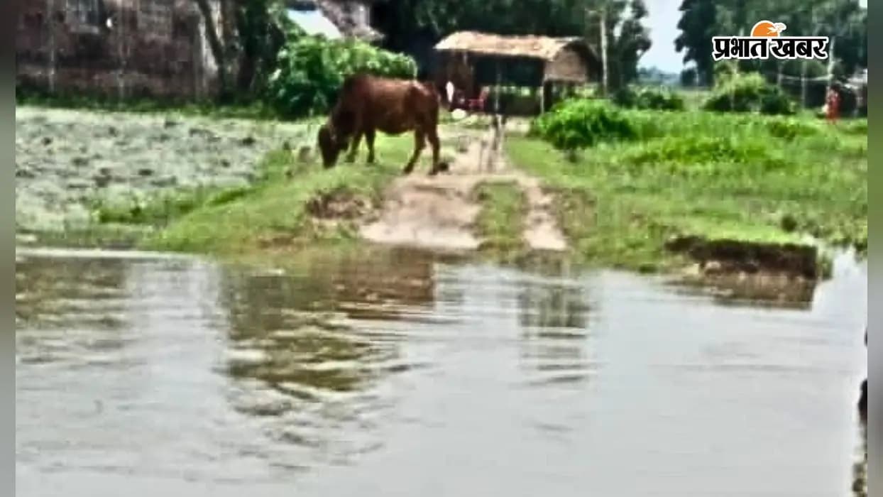 बाढ़ में बह गई सड़क बाढ़ में बह गई सड़क