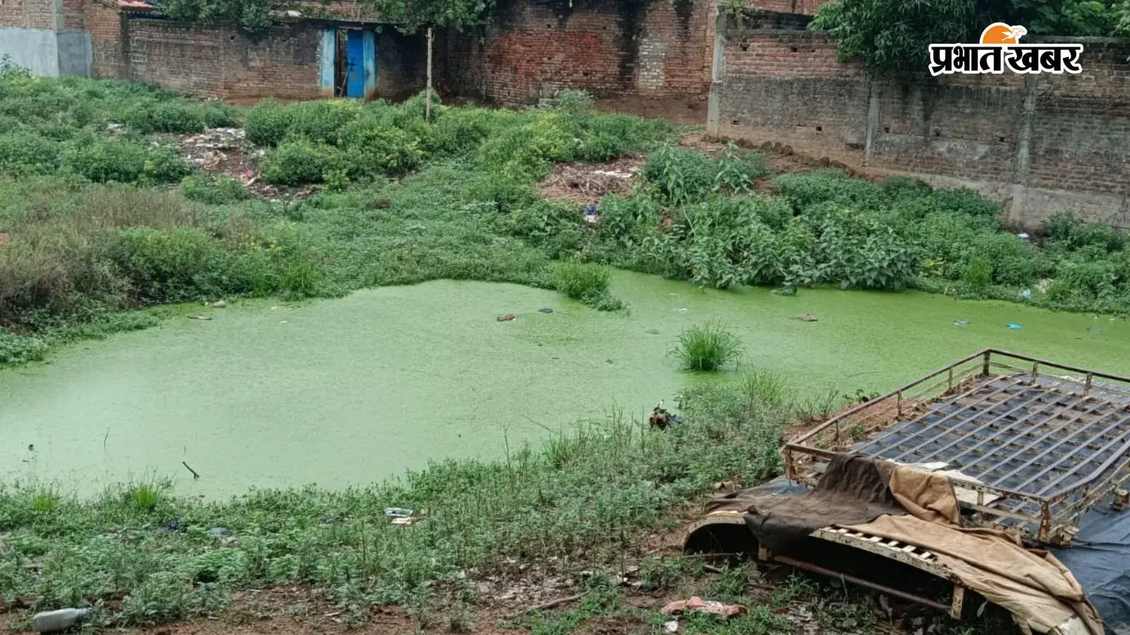 नगर पंचायत के कई टोला पर जल जमाव:- नगर पंचायत के कई टोला पर जल जमाव:-