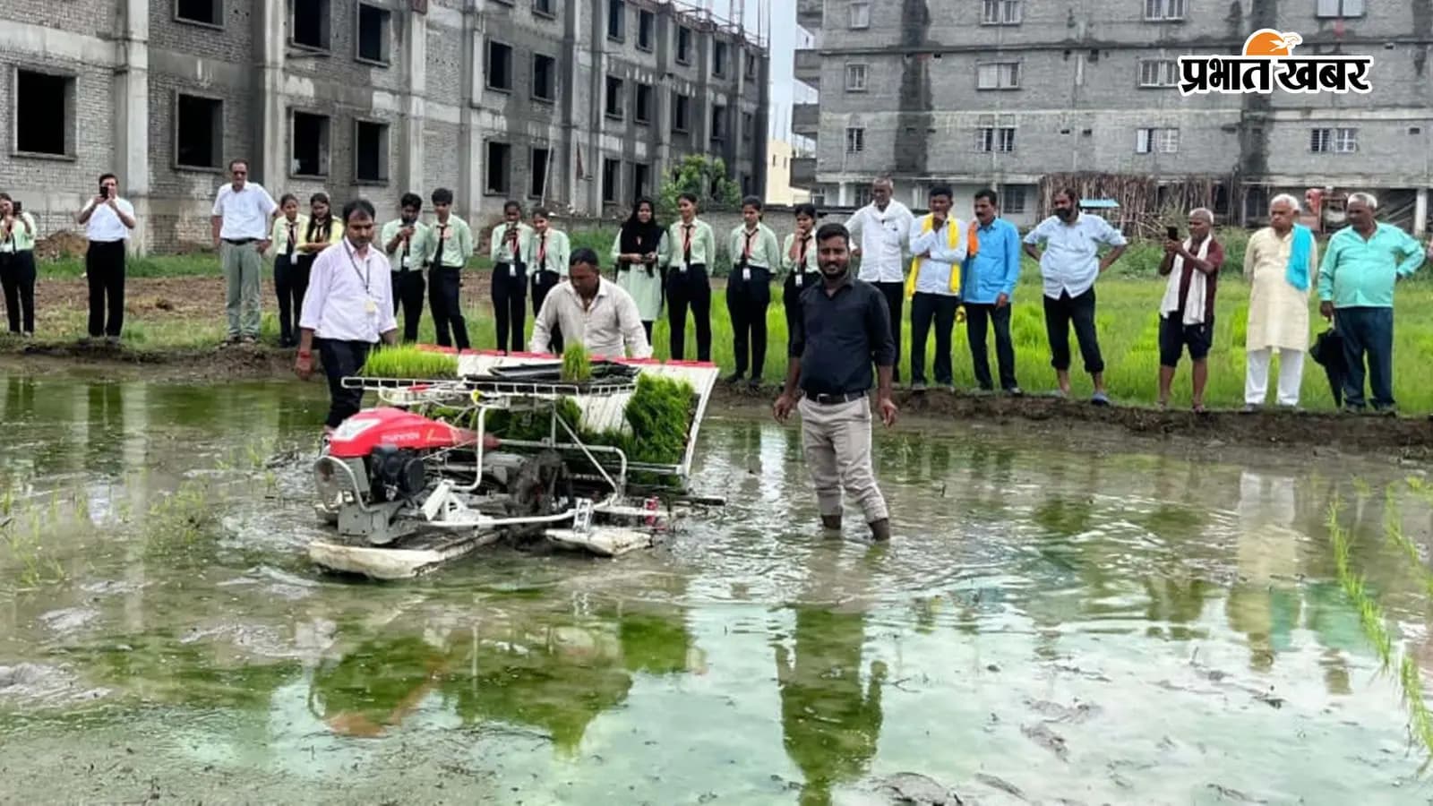 लीड...जीएनएसयू के नारायण कृषि विज्ञान संस्थान में राइस ट्रांसप्लांटर से शुरू हुई धान की रोपनी लीड...जीएनएसयू के नारायण कृषि विज्ञान संस्थान में राइस ट्रांसप्लांटर से शुरू हुई धान की रोपनी