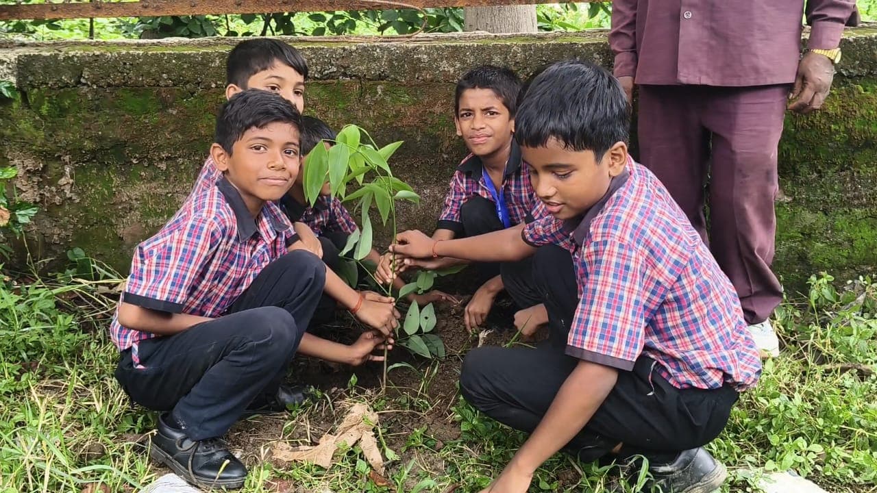 सरस्वती शिशु विद्या मंदिर में पौधारोपण, पर्यावरण संरक्षण का लिया संकल्प सरस्वती शिशु विद्या मंदिर में पौधारोपण, पर्यावरण संरक्षण का लिया संकल्प