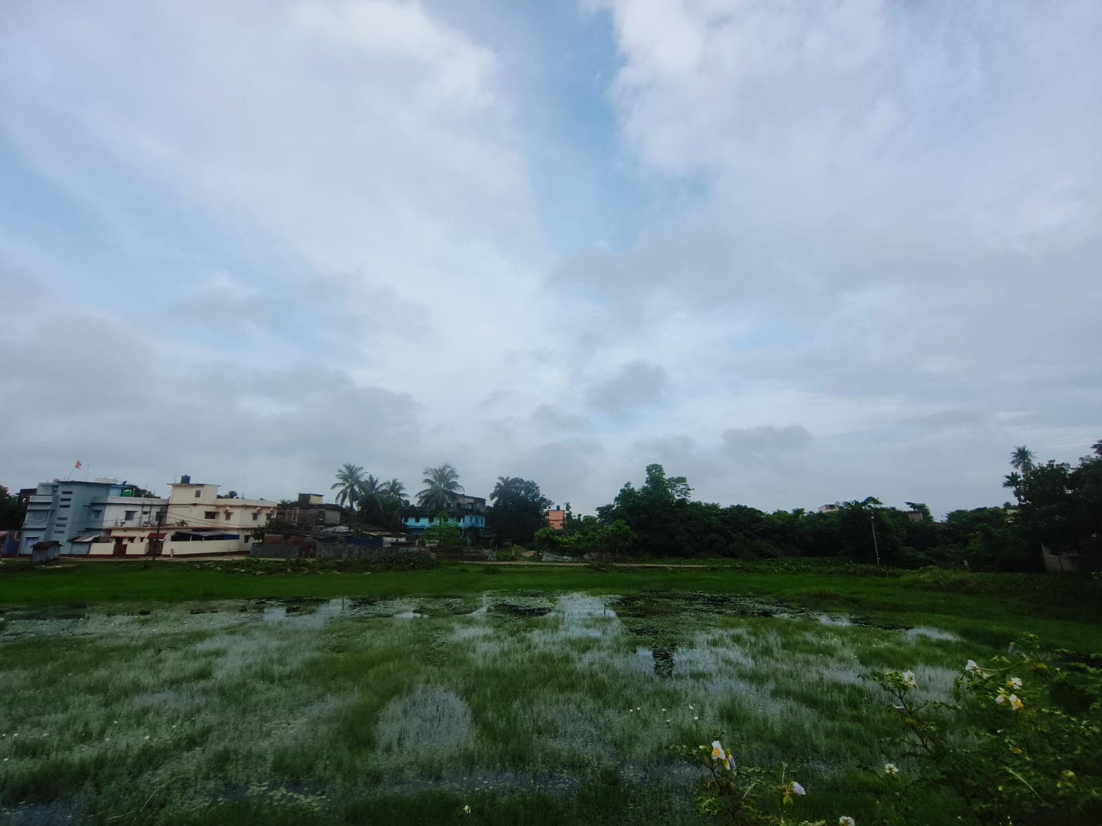 जिलेभर में आज झमाझम बारिश के आसार, कई प्रखंडों में जलभराव की आशंका जिलेभर में आज झमाझम बारिश के आसार, कई प्रखंडों में जलभराव की आशंका