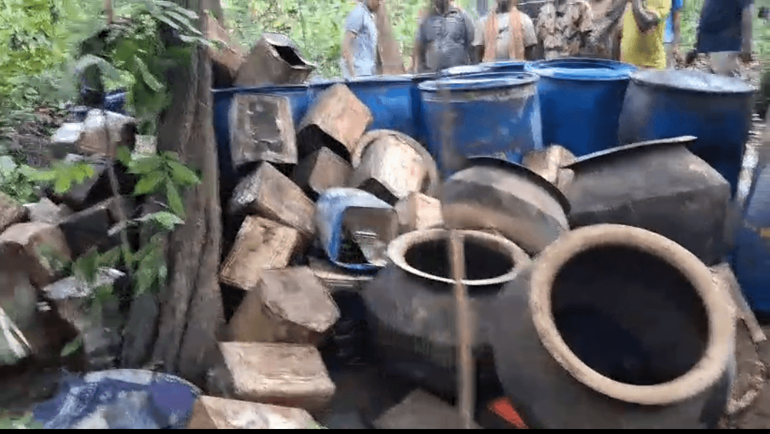 भीमबांध जंगल में अवैध शराब के खिलाफ बड़ी कार्रवाई, 7,645 किलो जावा महुआ नष्ट भीमबांध जंगल में अवैध शराब के खिलाफ बड़ी कार्रवाई, 7,645 किलो जावा महुआ नष्ट