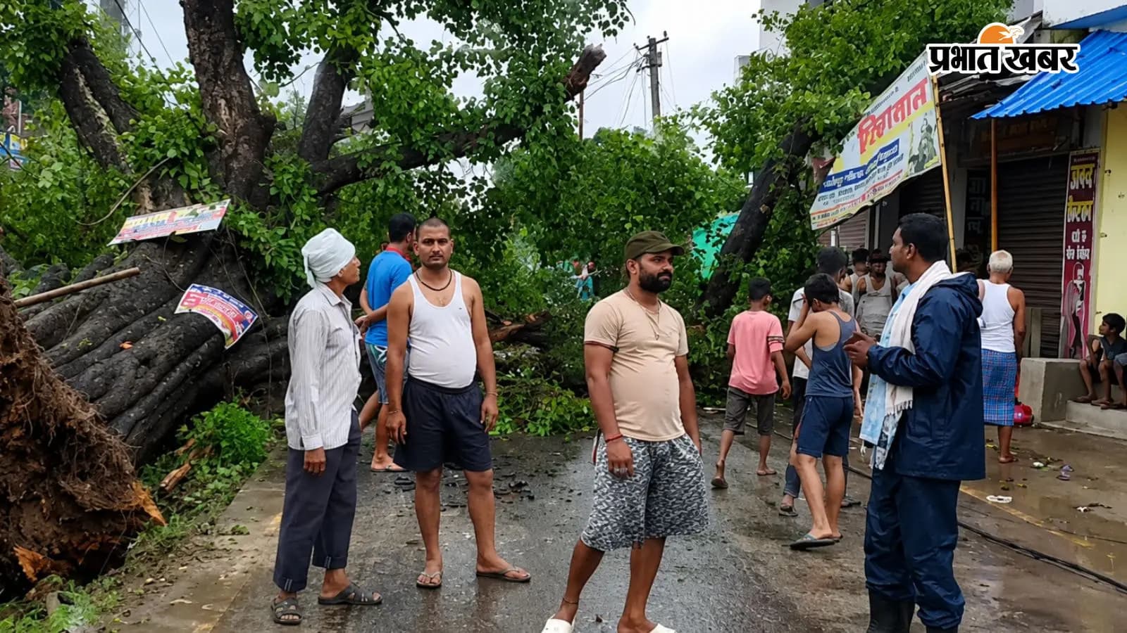 बछवाड़ा में बड़ा हादसा टला,बिना आंधी-तूफान सड़क पर गिरा विशाल पेड़,छात्रा बाल-बाल बची,बिजली गुल,मुख्य मार्ग जाम बछवाड़ा में बड़ा हादसा टला,बिना आंधी-तूफान सड़क पर गिरा विशाल पेड़,छात्रा बाल-बाल बची,बिजली गुल,मुख्य मार्ग जाम