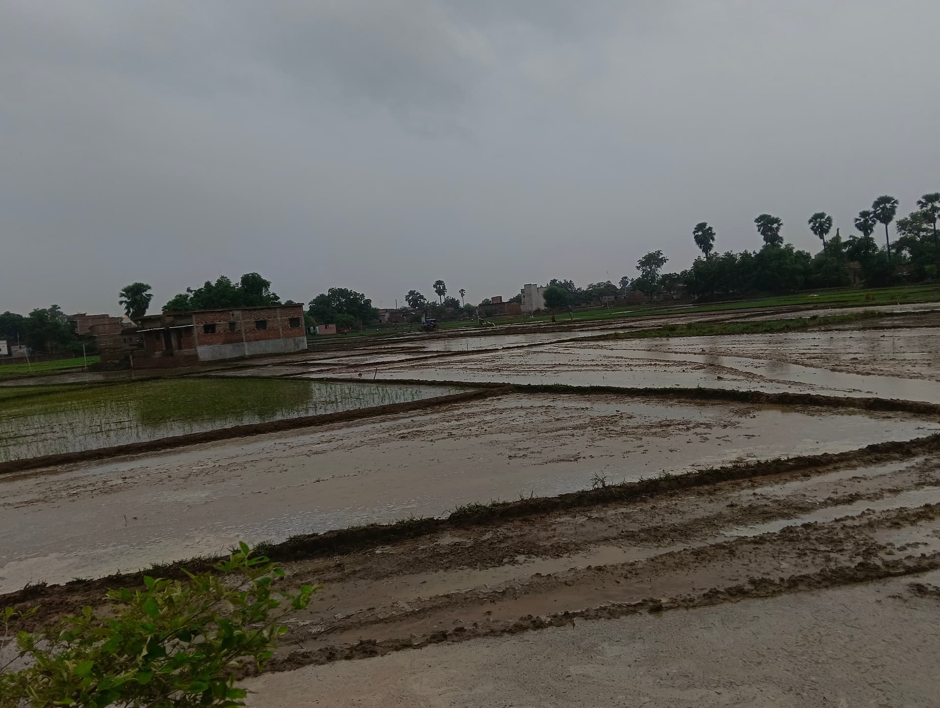 झमाझम बारिश से मौसम हुआ सुहाना झमाझम बारिश से मौसम हुआ सुहाना