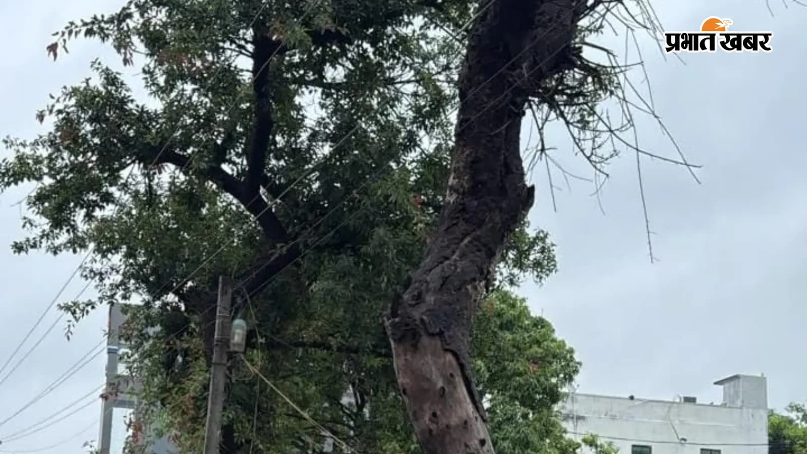 महुआ में बारिश से बिजली गुल, पेयजल संकट महुआ में बारिश से बिजली गुल, पेयजल संकट