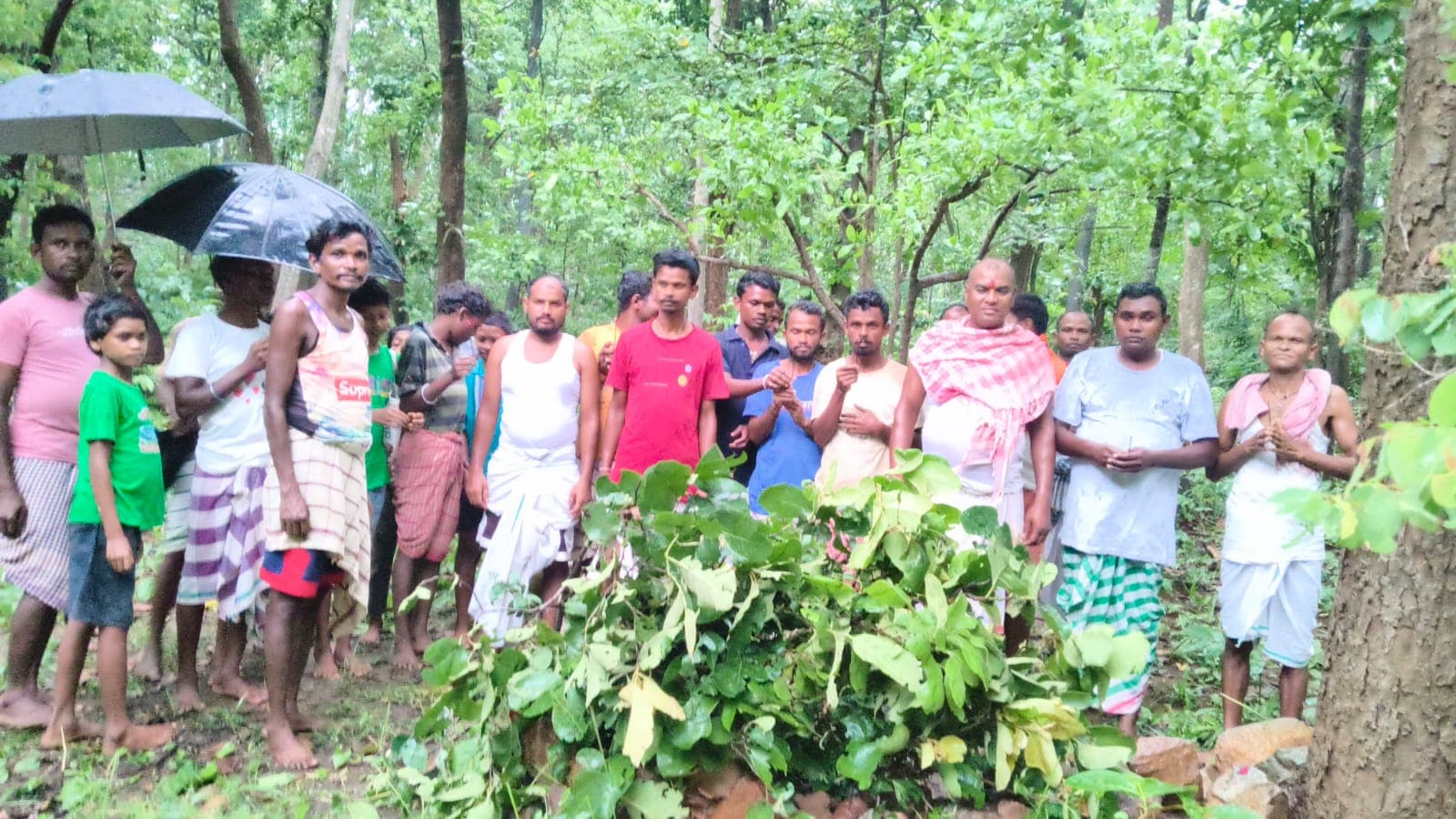 मानव और प्रकृति के समन्वय का प्रतीक है आषाढ़ी पूजा मानव और प्रकृति के समन्वय का प्रतीक है आषाढ़ी पूजा