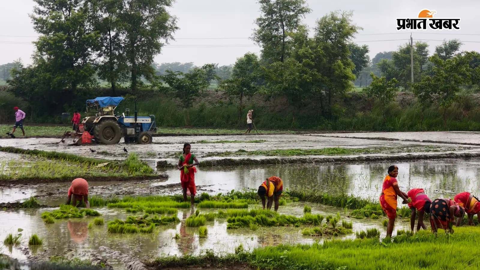 झमाझम बारिश से किसानों की लौटी मुस्कान झमाझम बारिश से किसानों की लौटी मुस्कान