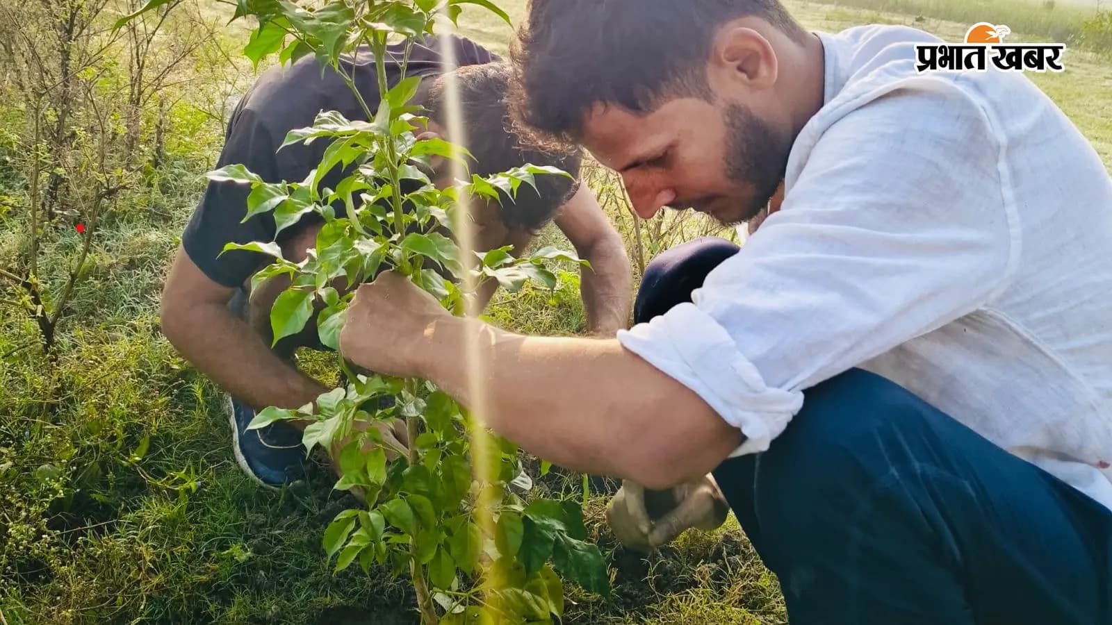 गोपालगंज: युवा ने बदली पर्यावरण की तस्वीर, 500+ पौधे लगाए. गोपालगंज: युवा ने बदली पर्यावरण की तस्वीर, 500+ पौधे लगाए.