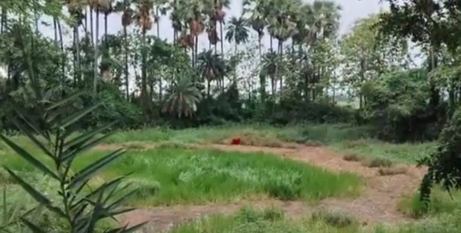 लौआचक के सुखे तालाब से निकल रही रहस्यमयी आवाज हो गई बंद, अधिकारियों ने लिया जायजा लौआचक के सुखे तालाब से निकल रही रहस्यमयी आवाज हो गई बंद, अधिकारियों ने लिया जायजा