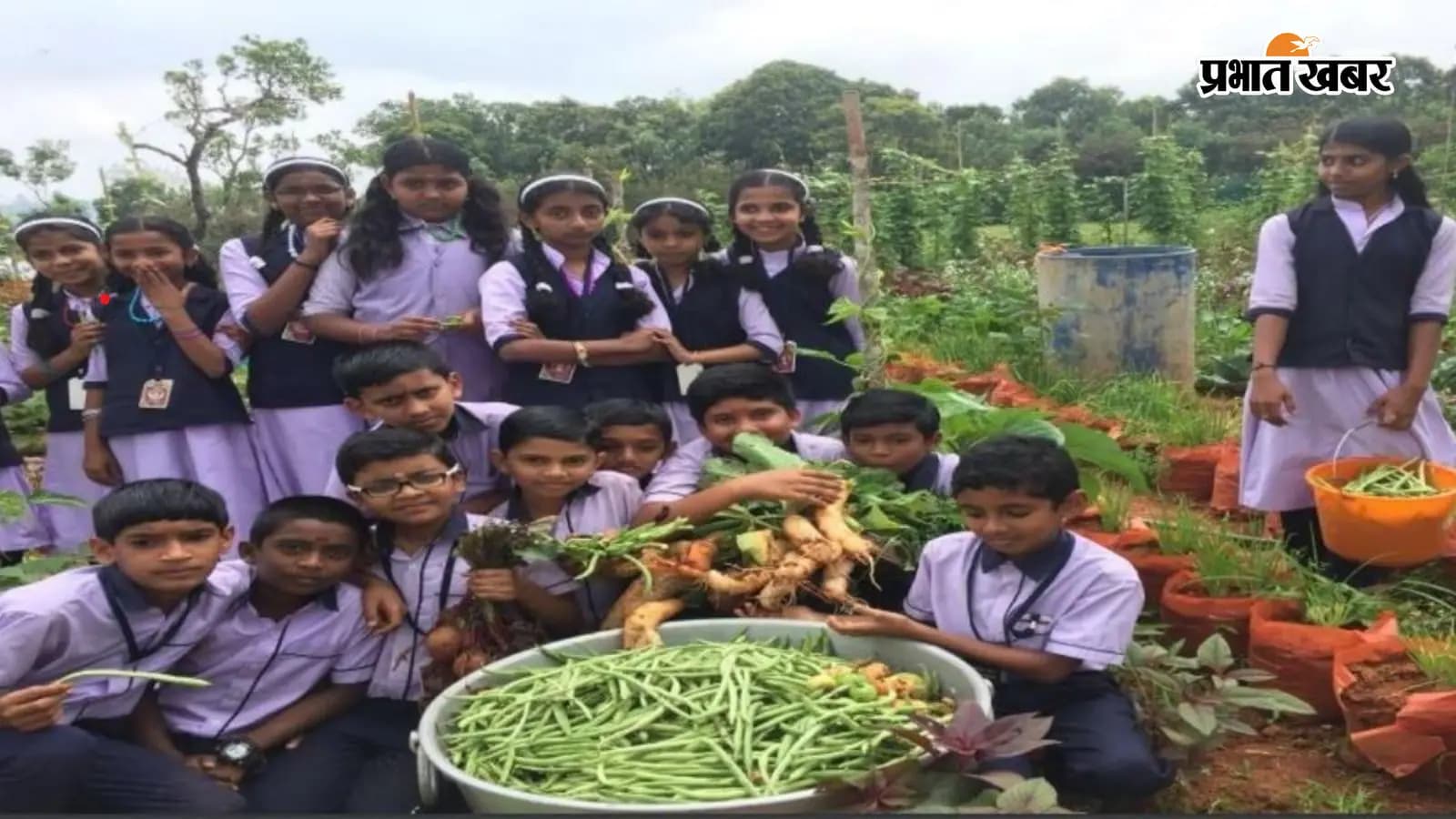 सांकेतिक तस्वीर सांकेतिक तस्वीर
