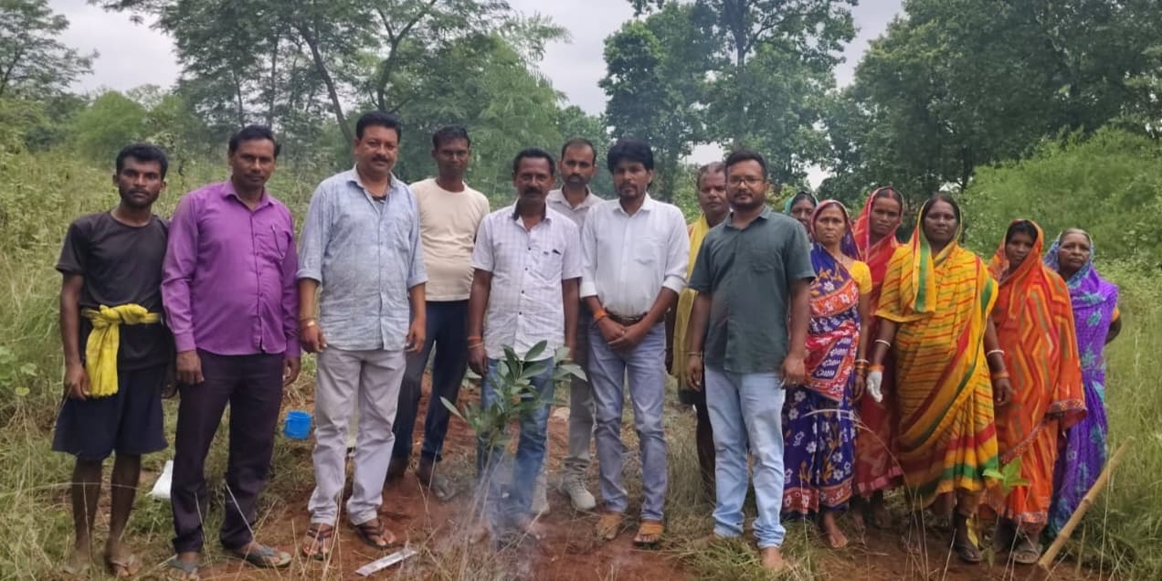 नावाडीह वन क्षेत्र में 25 हेक्टेयर में होगा पौधरोपण नावाडीह वन क्षेत्र में 25 हेक्टेयर में होगा पौधरोपण