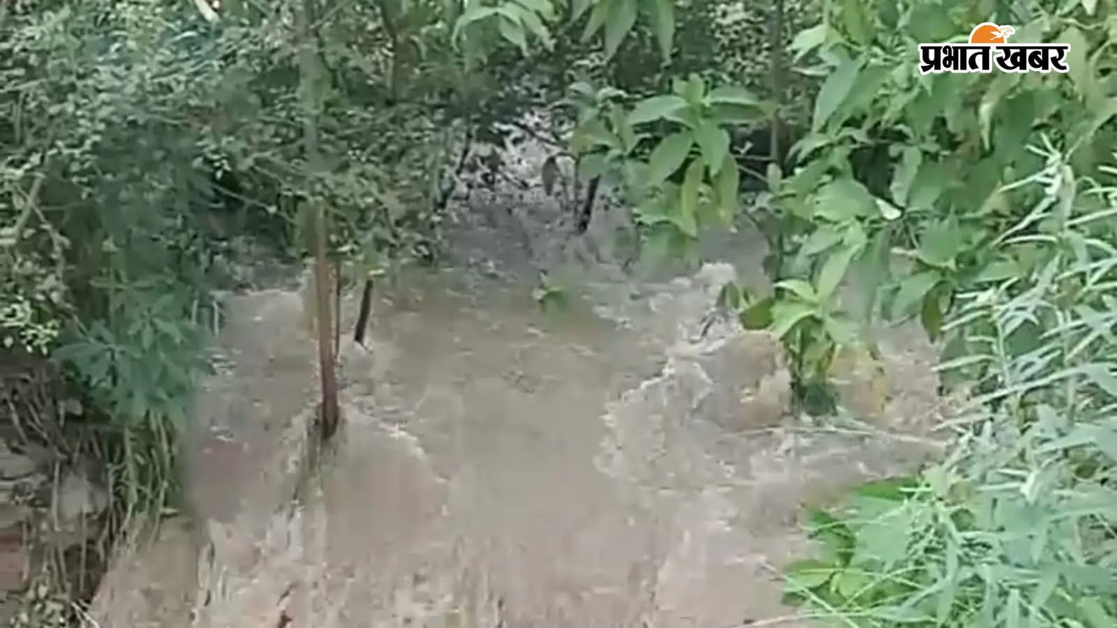 बागमती की पुरानी धारा में पहुंची बेलवा डैम से पानी, किसानों में खुशी की लहर बागमती की पुरानी धारा में पहुंची बेलवा डैम से पानी, किसानों में खुशी की लहर