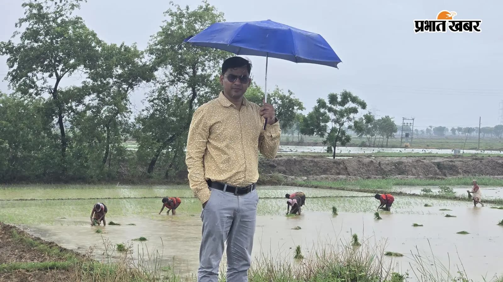 धान रोपनी का निरीक्षण करते जिला कृषि पदाधिकारी डॉ नितेश कुमार धान रोपनी का निरीक्षण करते जिला कृषि पदाधिकारी डॉ नितेश कुमार