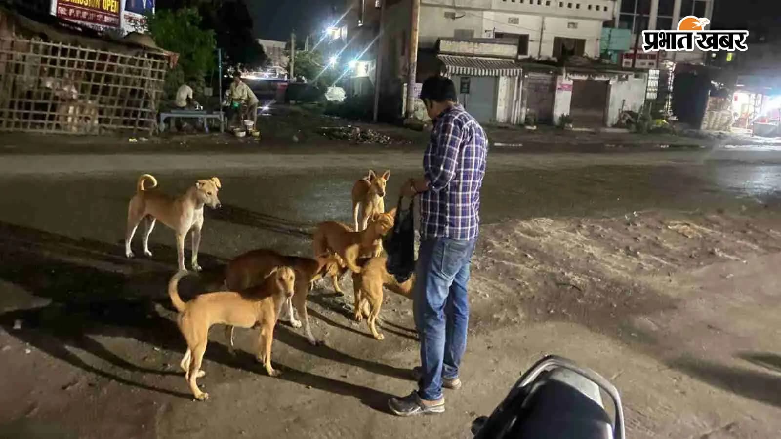 आवारा कुत्तों को रोटी खिलाते शानू, फोटो- प्रभात खबर आवारा कुत्तों को रोटी खिलाते शानू, फोटो- प्रभात खबर