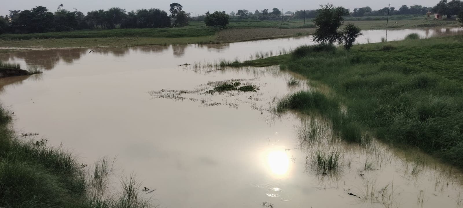 कोशी-कमला नदी में उफान, चार पंचायत बाढ के पानी से प्रभावित, आवागमन के लिए नाव ही सहारा_ कोशी-कमला नदी में उफान, चार पंचायत बाढ के पानी से प्रभावित, आवागमन के लिए नाव ही सहारा_