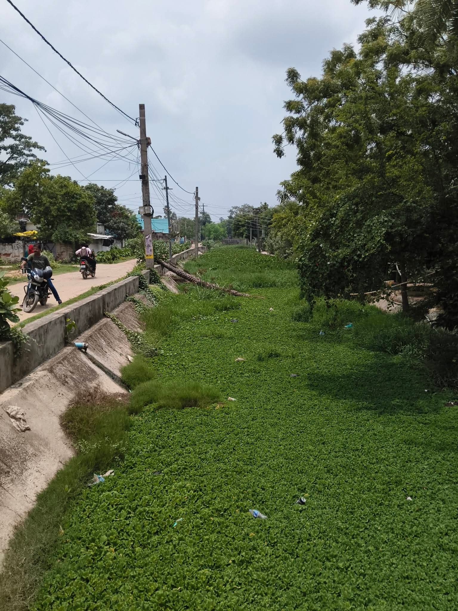 नालों की सफाई के दावे फेल, अब क्विक रिस्पॉन्स टीम के भरोसे नगर निगम नालों की सफाई के दावे फेल, अब क्विक रिस्पॉन्स टीम के भरोसे नगर निगम