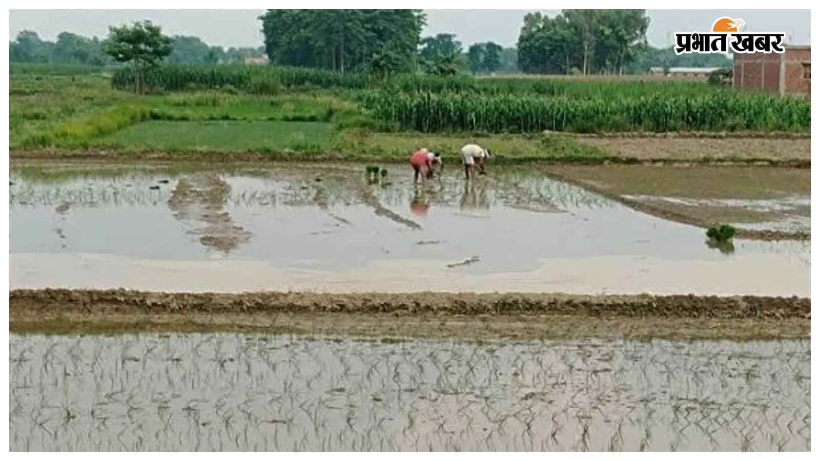 प्रतीकात्मक तस्वीर प्रतीकात्मक तस्वीर
