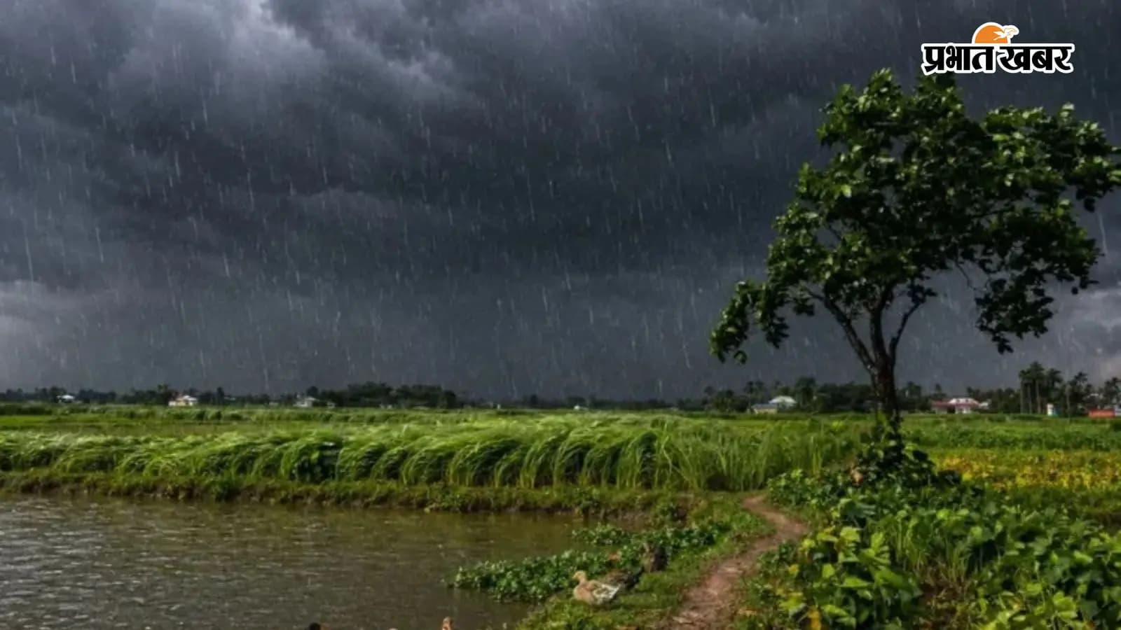 बिहार में बारिश की चेतावनी (सांकेतिक तस्वीर) बिहार में बारिश की चेतावनी (सांकेतिक तस्वीर)